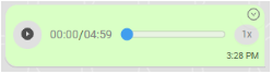 Captura nota de voz