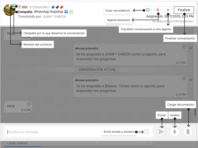 Paso 4 (1)